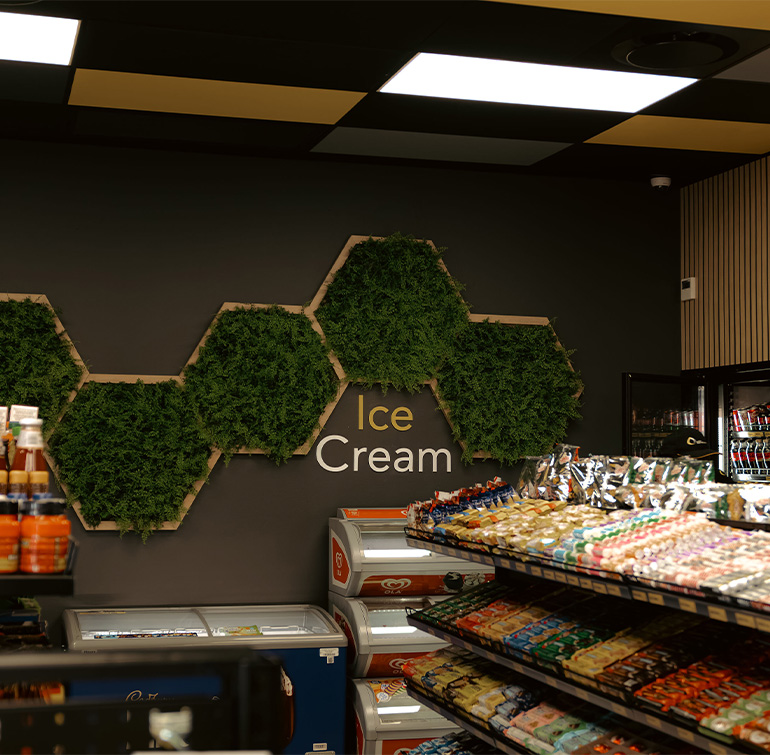 rustic-eco - mbt featured image